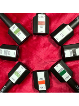 Collection Noël 2024