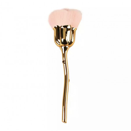 Brosse Rose – Dépoussiérage Élégant