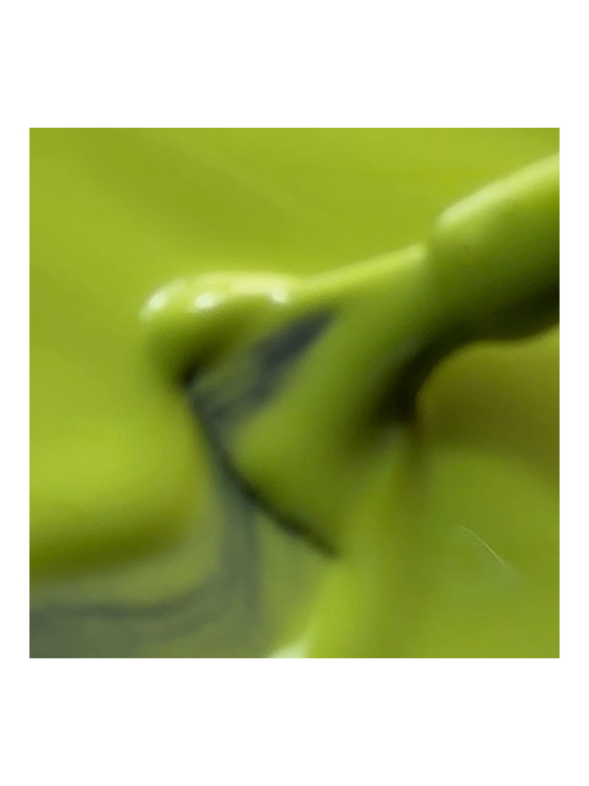 Brussels Mojito – Vernis Semi-Permanent UV/LED Vert | 10 ml