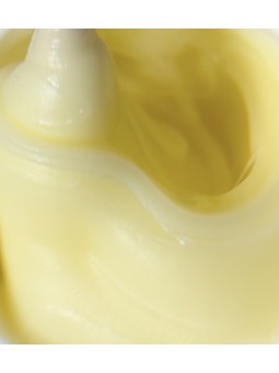 Polygel Pastel Yellow – Polygel jaune pastel, vegan | 30/50 ml
