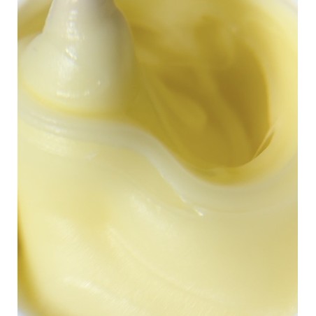 Polygel Pastel Yellow – Polygel jaune pastel, vegan | 30/50 ml